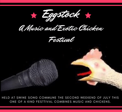 Plans Being Made for "Eggstock": A Music and Exotic Chicken Festival