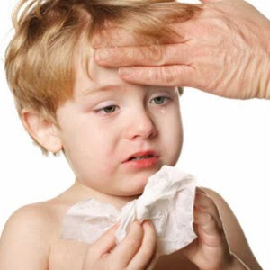 Essay on Diseases Essay on Diseases