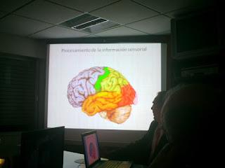 Procesamiento de la Información Sensorial en el Cerebro