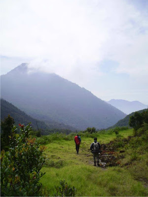 gunung papandayan