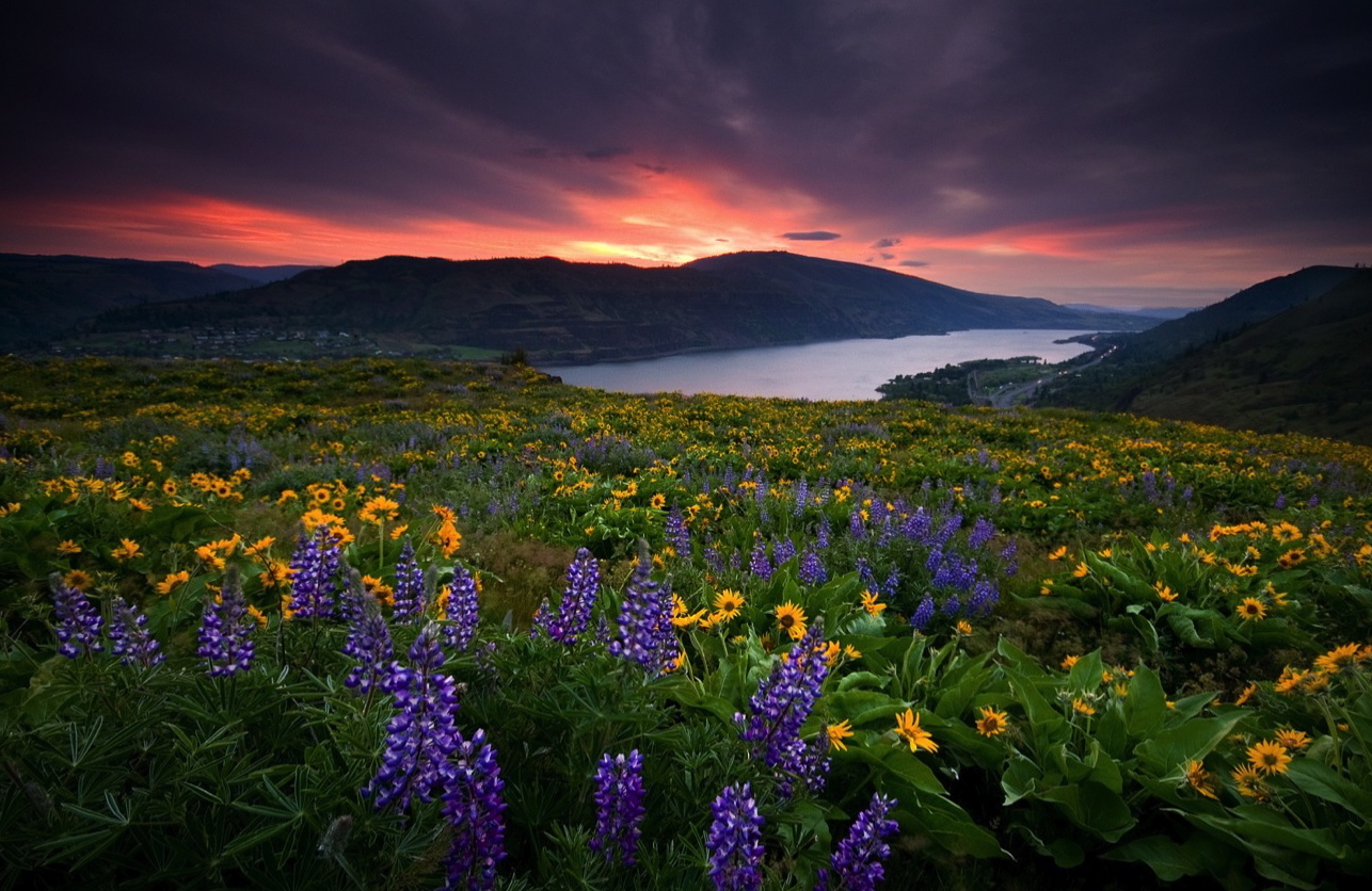 springtime scenery springtime scenery