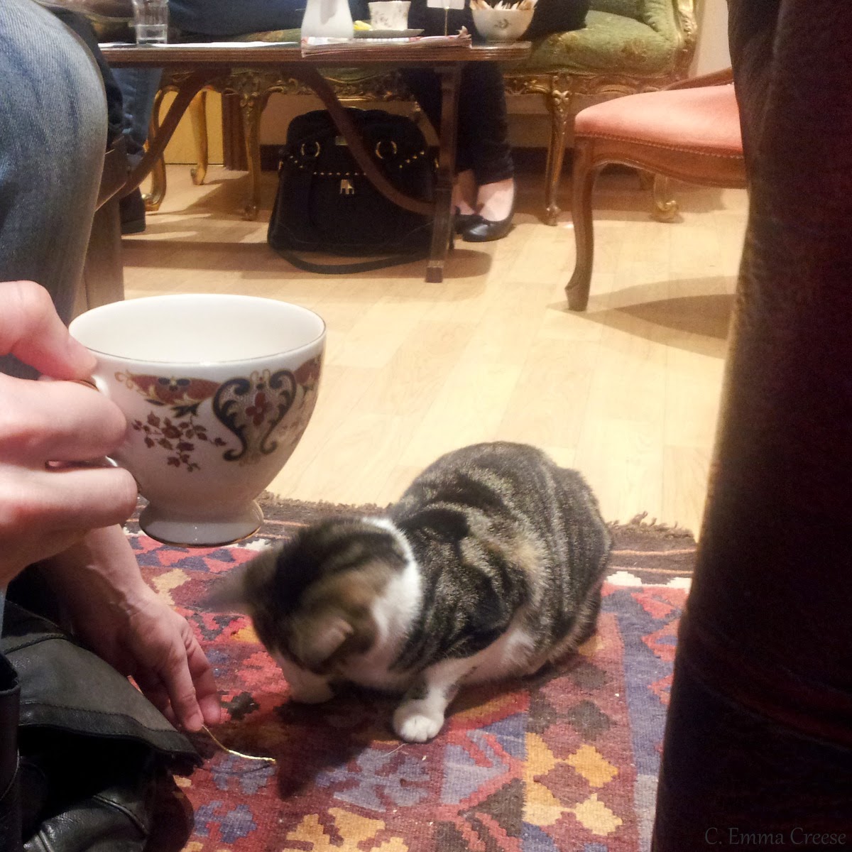 Lady Dinah's Cat Cafe Adventures of a London Kiwi