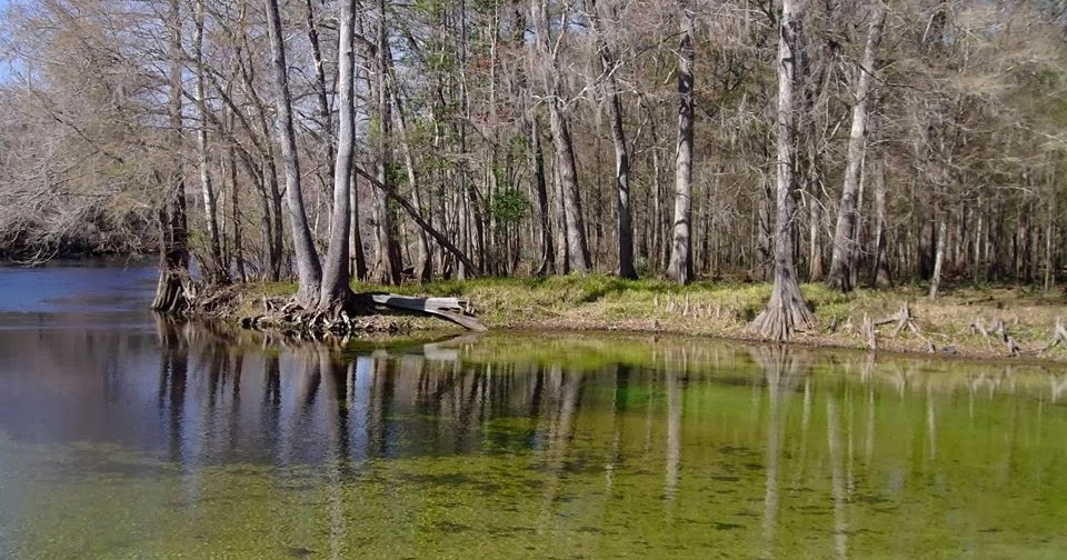 Melissas Homeschool Blog Rum Island on the Santa Fe River Natural Springs