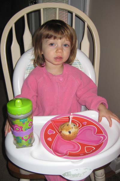 Heather&rsquo;s Happiness: Happy 2nd Birthday, Addison!