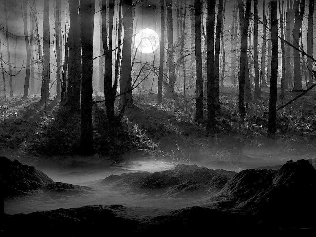 Dark Forest Painting