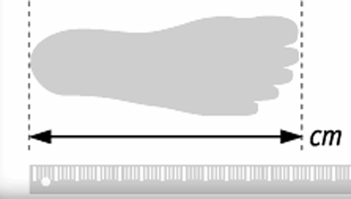 Delias Size Chart