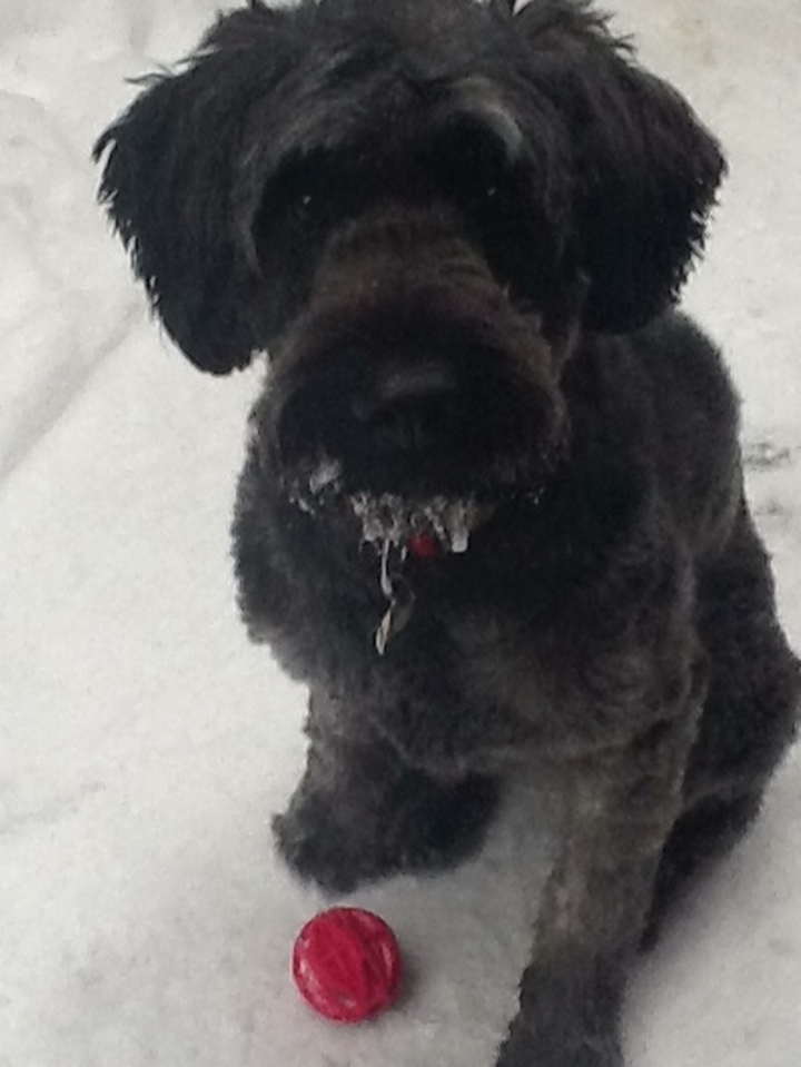 Me and my Red Ball