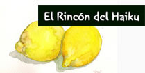 El Rincón del Haiku