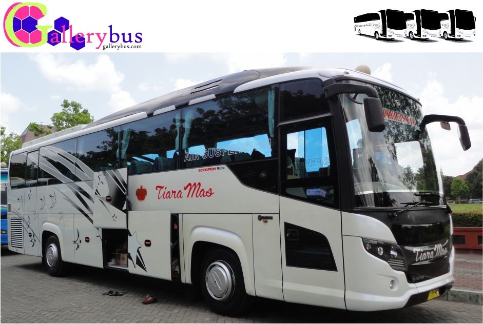 PO Tiara Mas: Solusi Transportasi Pariwisata Anda di Surabaya dan Jawa Timur