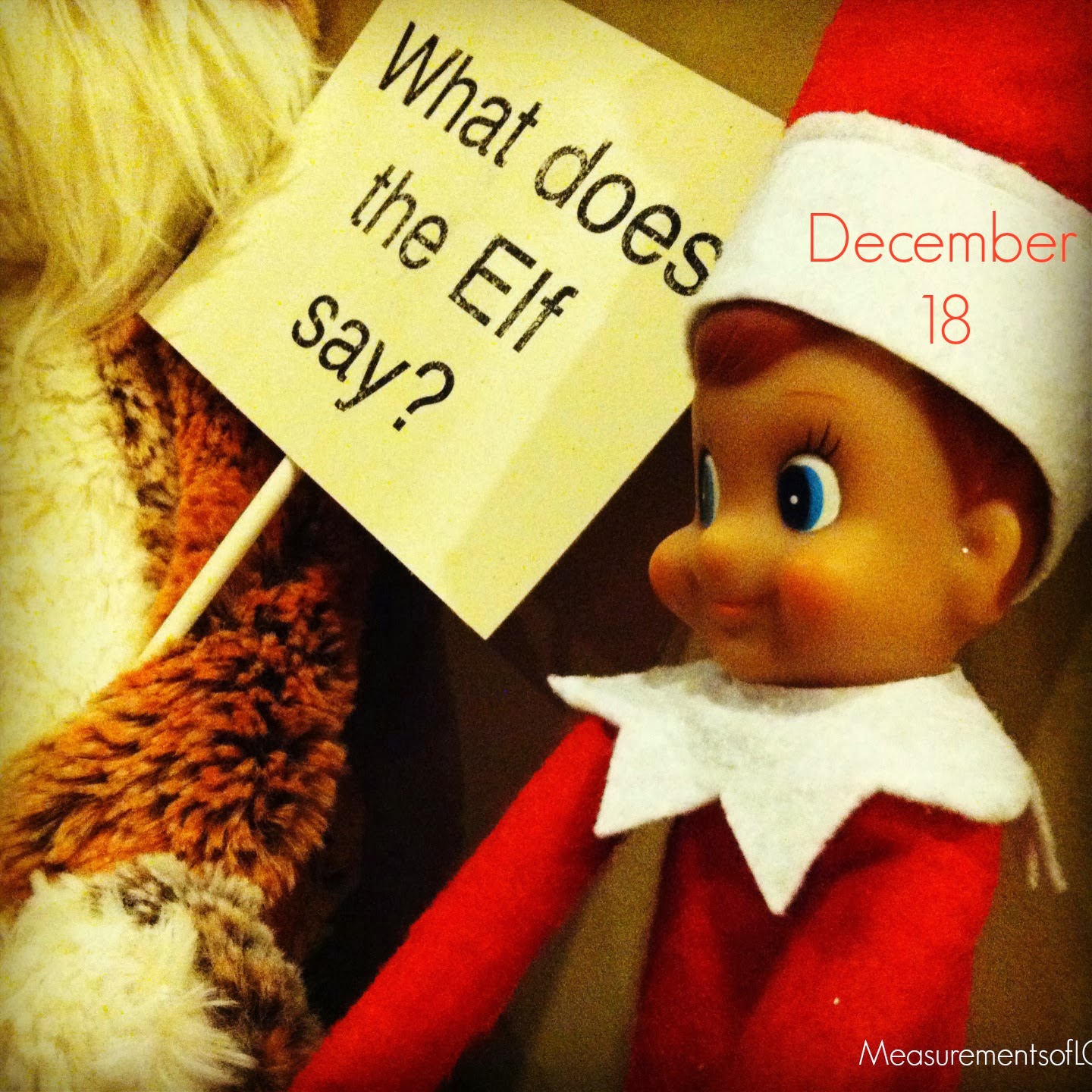 Measurements of Merriment Elf on the Shelf What Does the Elf Say?