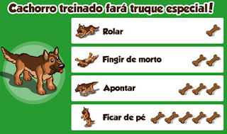 Aprendendo truques com seu pet Truques dos Pets