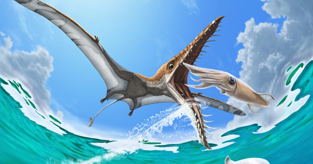 A ropey Rhamphorhynchus  Dave Hone's Archosaur Musings