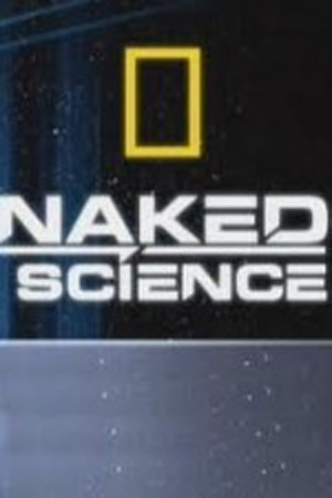National Geographic Naked Science The Human Family Tree (2011) National Geographic Naked Science The Human Family Tree (2011)