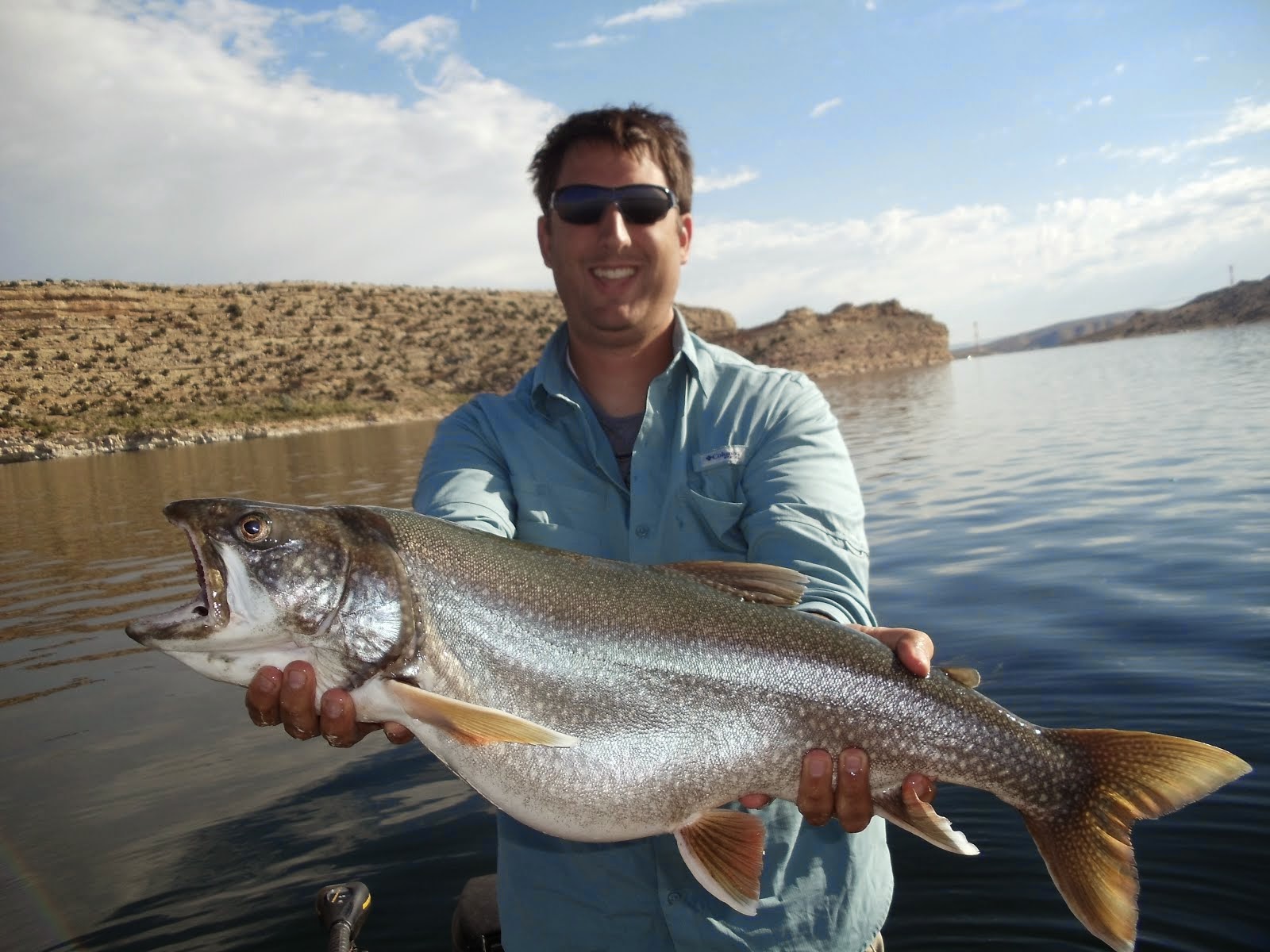 Utah Fisherman Cutthroat Trout