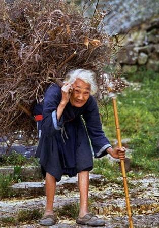 Kisah Nenek dengan Lembaran Daun | UnikQu