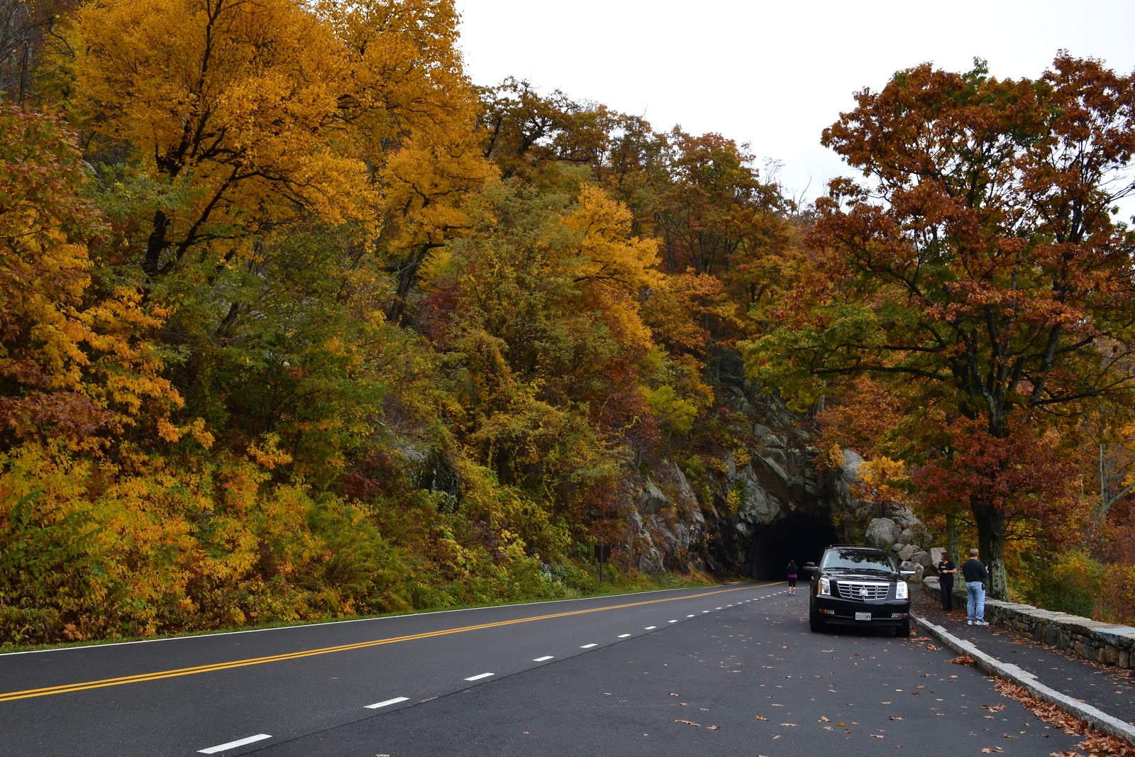 Nanda & Nathan The Travellers Fall Foliage at Shenandoah National Park