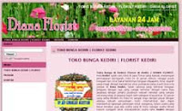 portofolio website murah 1
