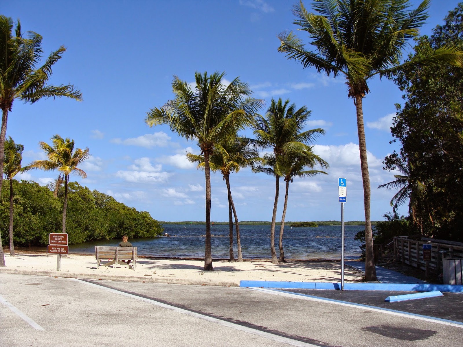THE SIMMONS SAGA Chilly Dogs on Cannon Beach, Key Largo, Florida