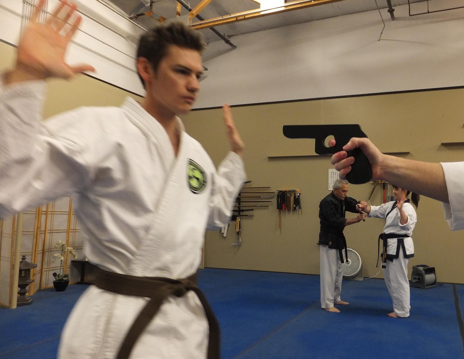 Soke Hausel's Guide to SelfDefense Classes in Arizona Arizona Martial