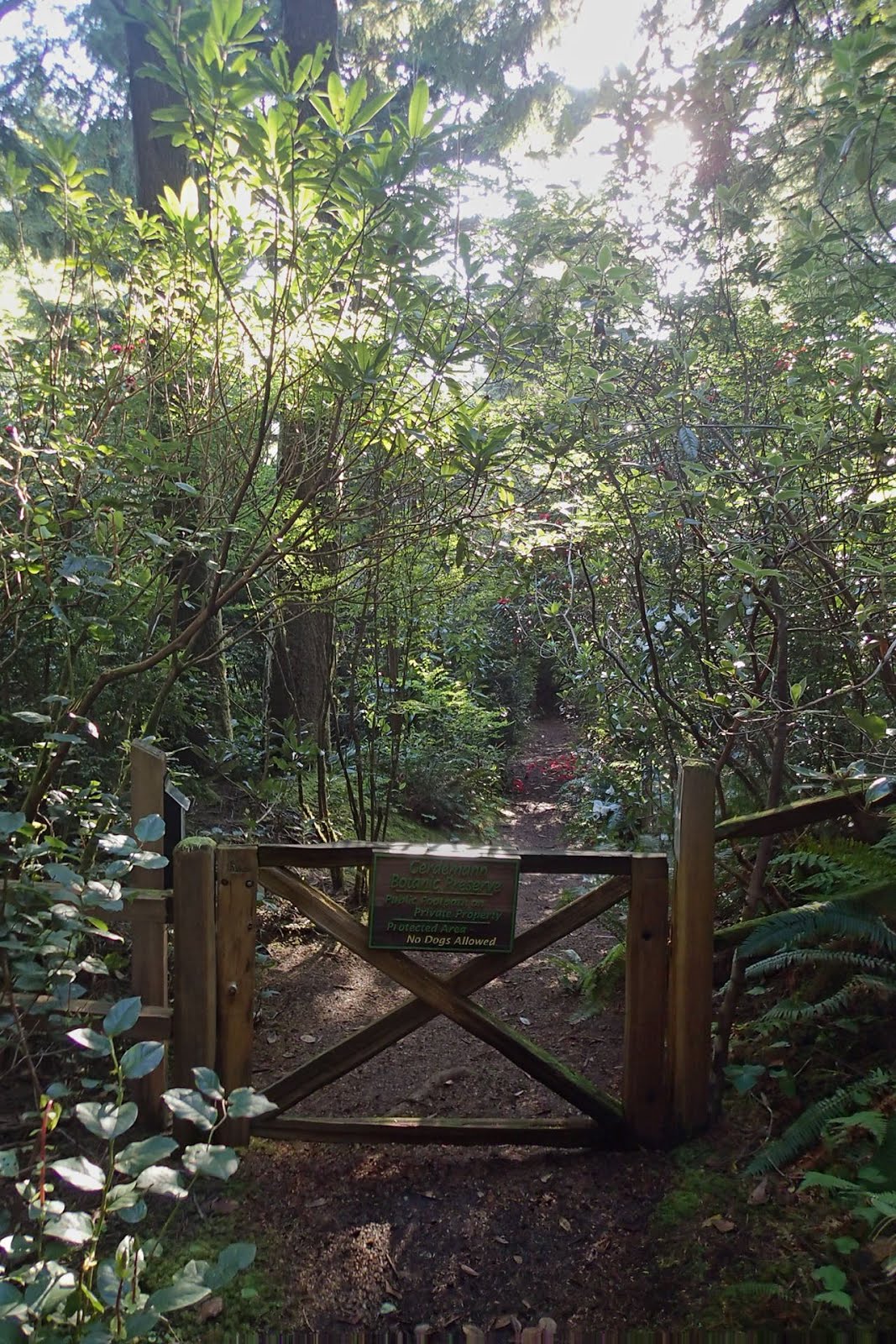Casing Oregon A Winter Walk in Yachats Ya'Xaik Trail and the