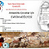 Çocuklarla Evrim Atölyesi (Ankara ve İzmir)