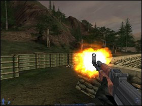This is the most unexceptional picture of murky shooting I could find. It's from IGI2. Congratulations IGI2.