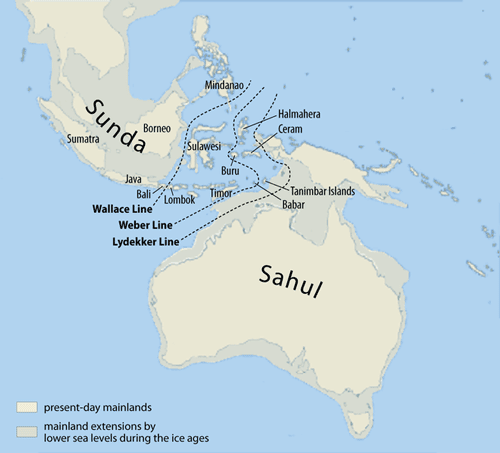 and Papua New Guinea. map of papua new guinea and australia. and Papua New Guinea.
