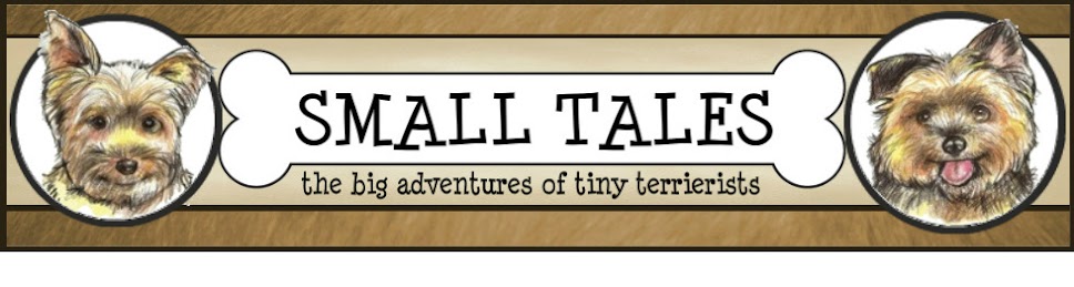 Small Tales
