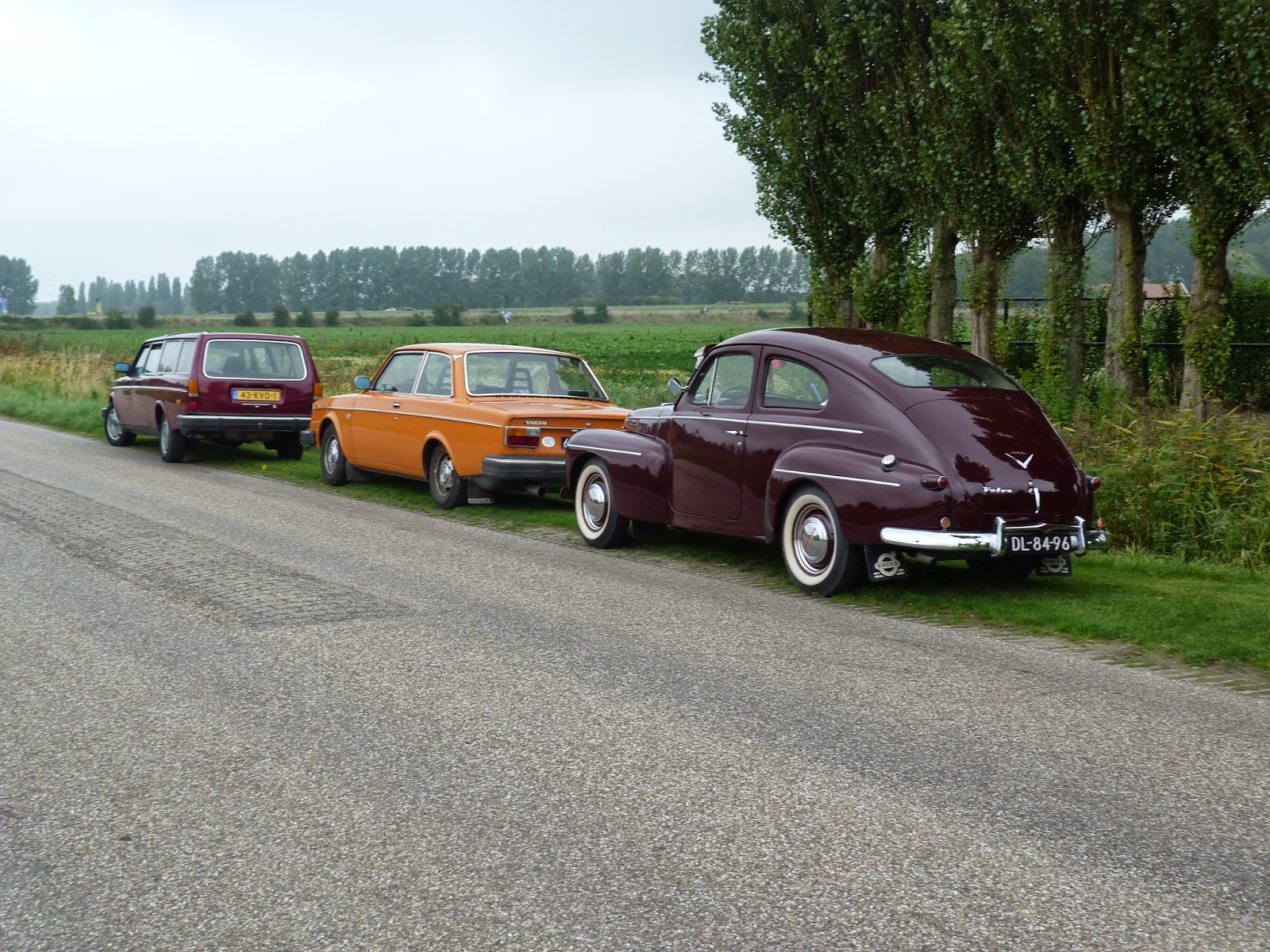 [Afbeelding: P1030971.JPG]