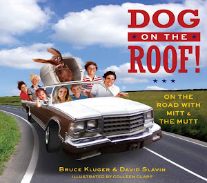 DOG ON CAR ROOF DOG ON CAR ROOF
