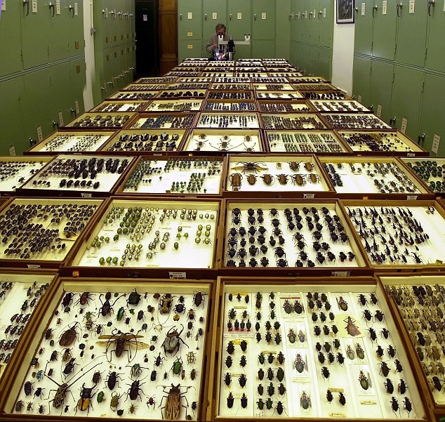 Not so crowded house? New findings on global species richness Not so crowded house? New findings on global species richness
