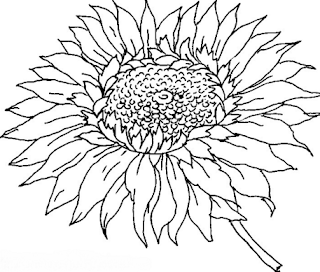 Melukis Gambar Bunga Matahari dengan Mudah