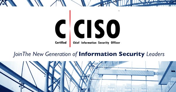 Chief Information Security Officer Resume Examples Chief Information Security Officer Resume Examples