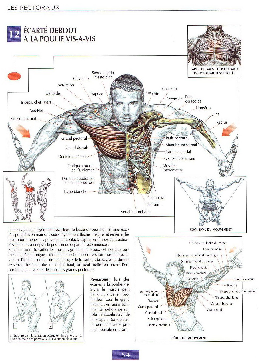 BEST chest workouts guide de musculation