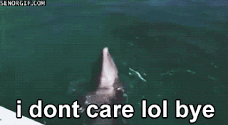 If anyone can explain what is happening with this dolphin, please contact our Mysteries department