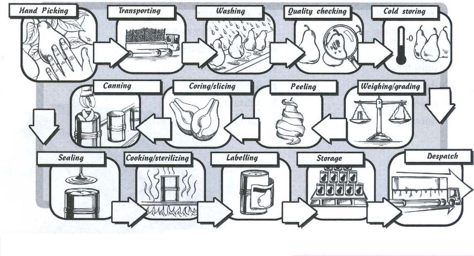 The Diagram Below Shows The Process Of Canning Of Fish, 60 OFF