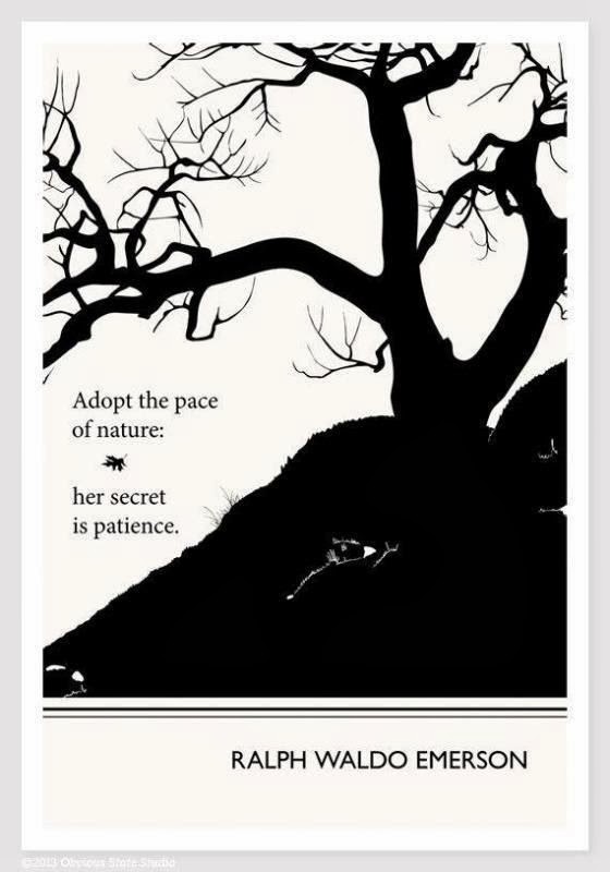 Puppy Love Preschool: Words of Wisdom Wednesday: Her Secret