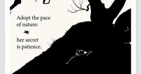 Puppy Love Preschool: Words of Wisdom Wednesday: Her Secret