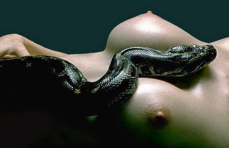 Sex puren nude in snake and girls image