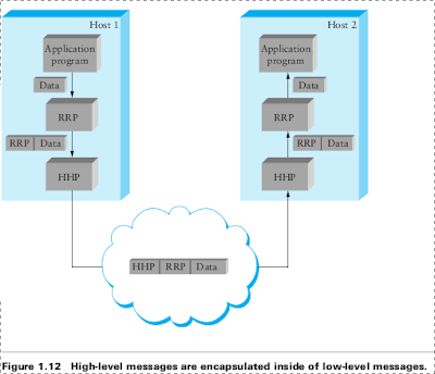 computer network architect nls