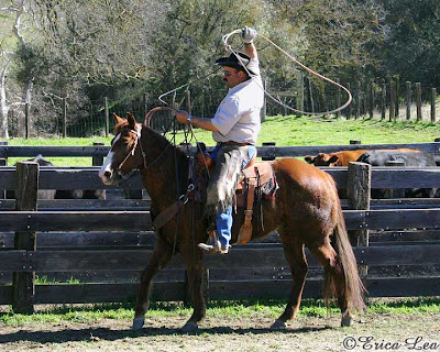 cowboy