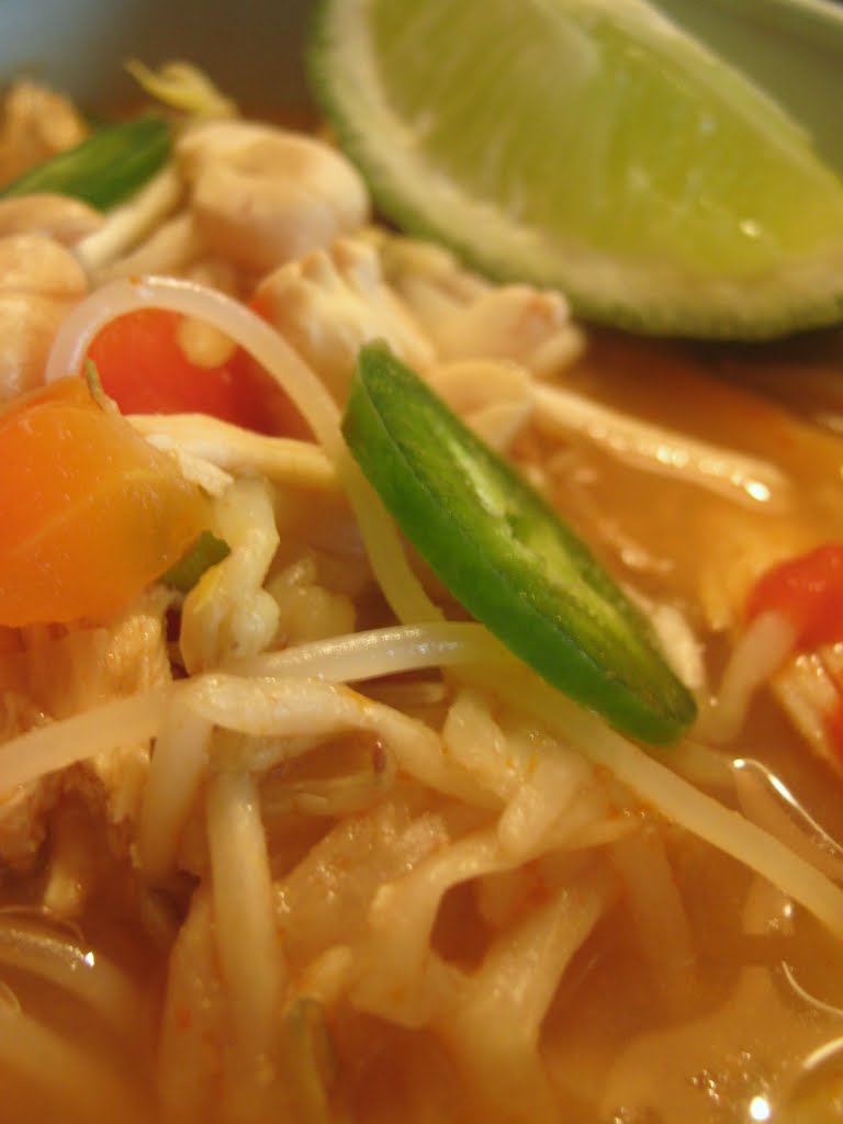 Rindy Mae: Spicy Asian Chicken Noodle Soup