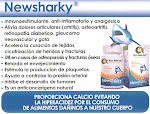 Newsharky