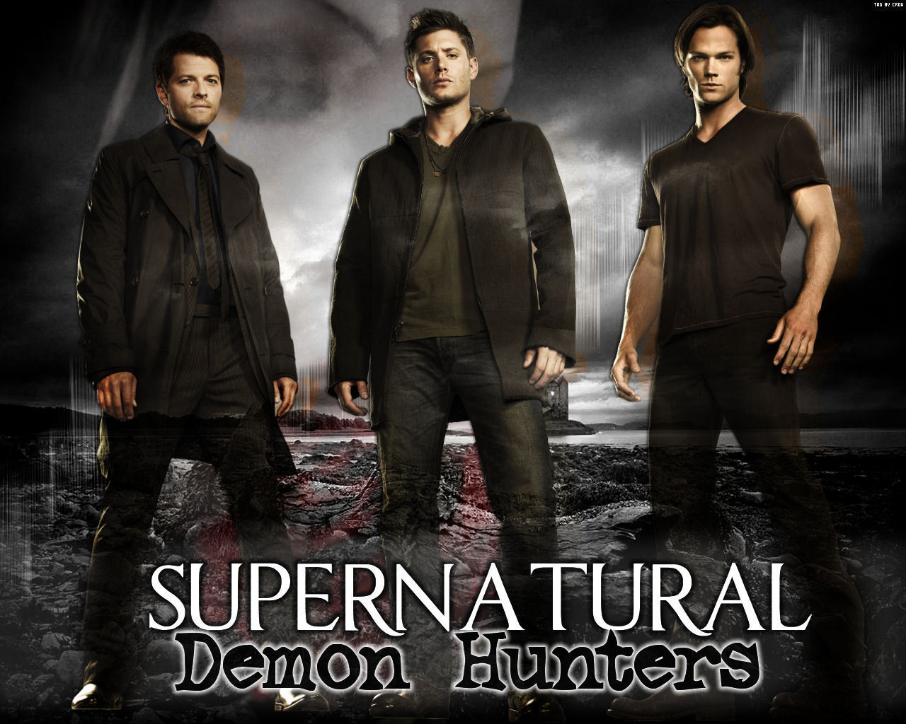 http://4.bp.blogspot.com/-OXdV0Rv0zoU/UM5GGebIKfI/AAAAAAACJ04/0aJHUy2mMXE/s1600/supernatural_poster75.jpg