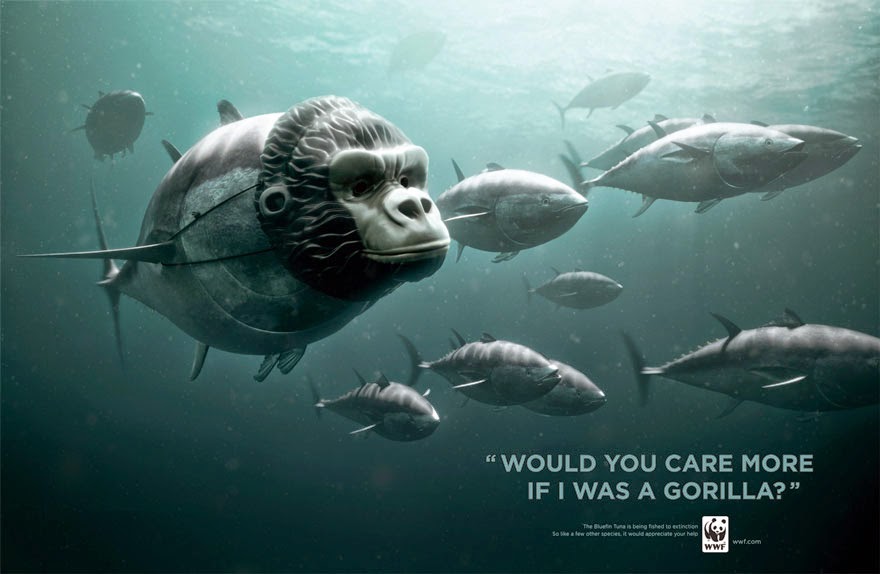 WWF: Bluefin Tuna. Would You Care More If I Was A Panda? - 33 Powerful Animal Ad Campaigns That Tell The Uncomfortable Truth WWF: Bluefin Tuna. Would You Care More If I Was A Panda? - 33 Powerful Animal Ad Campaigns That Tell The Uncomfortable Truth