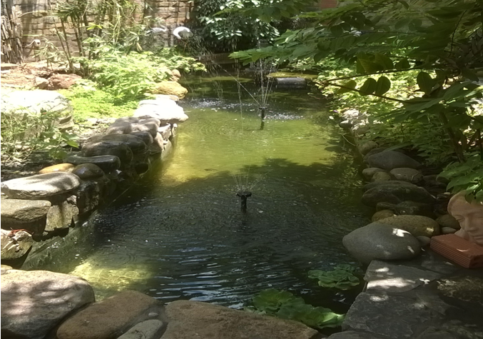 [Image: Villa%2Bpontus%2Bv%C5%A9ng%2Bt%C3%A0u3.png]