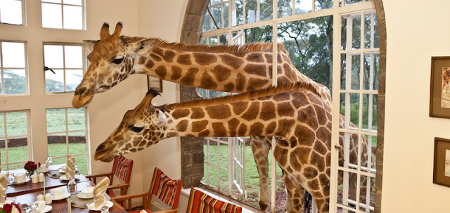 Giraffe Manor Hotel Nairobi