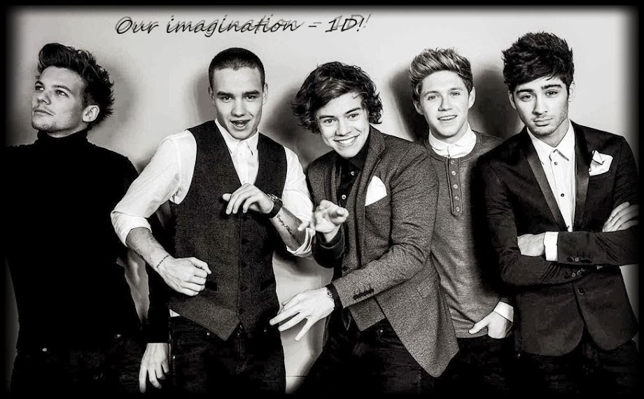 Our imagination - 1D!