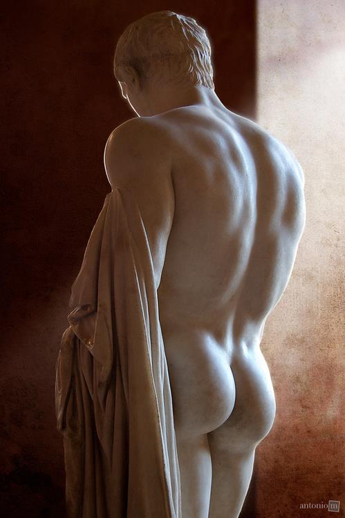 male ass male ass