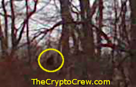 bigfoot iowa sighting report flip taken phone crypto crew